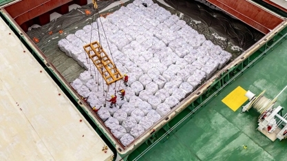 Entregas de fertilizantes ao mercado brasileiro cresceram 11,7% em julho