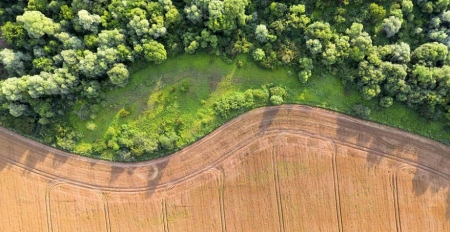 UE:Proposta para lei antidesmate frustra quem se preparou no agro do Brasil