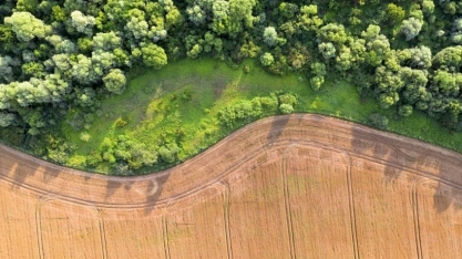 UE:Proposta para lei antidesmate frustra quem se preparou no agro do Brasil