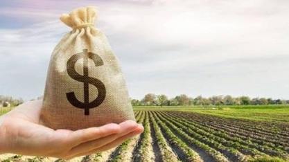 Juros e endividamento altos afetam o crédito rural, e desembolsos caem 12%