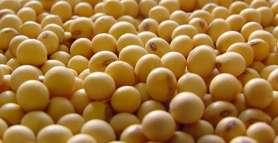 Acordo entre EUA e China e La Niña são riscos para o agro em 2026