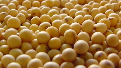 Acordo entre EUA e China e La Niña são riscos para o agro em 2026