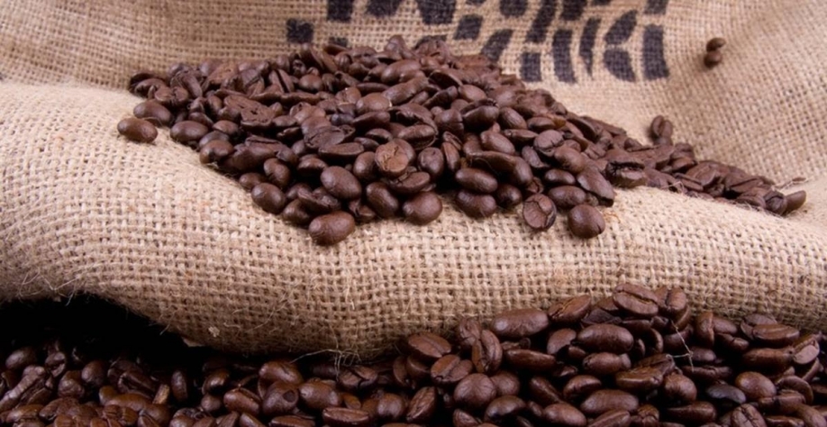 Exportações de café caem 18%, e setor cobra ação contra tarifaço dos EUA