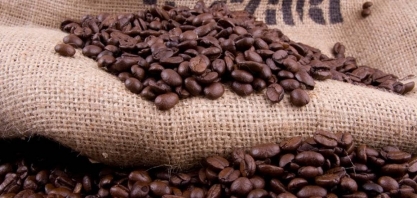 Exportações de café caem 18%, e setor cobra ação contra tarifaço dos EUA