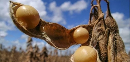 Gaúchos querem mudança em critérios para renegociação de dívidas