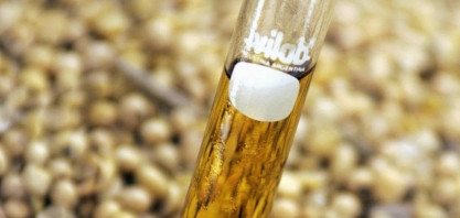 Brasil pode não cumprir prazo de elevar mistura de biodiesel em 3/2026