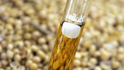 Brasil pode não cumprir prazo de elevar mistura de biodiesel em 3/2026