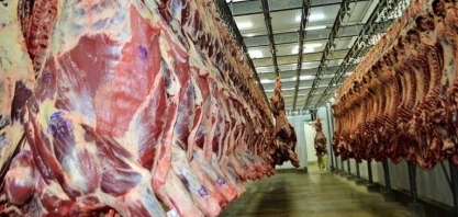 Exportações de carne bovina batem recordes de volume e receita em setembro