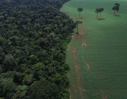 Movimento quer denunciar 