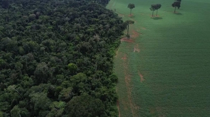 Movimento quer denunciar 
