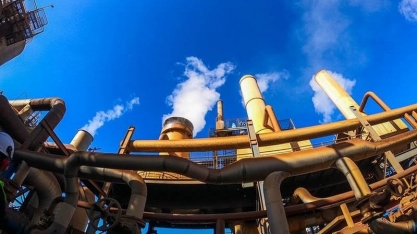 Com açúcar em baixa, usinas de cana ‘viram a chave’ para o etanol