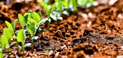 Brasil tem vantagens consolidadas para fortalecer agricultura regenerativa