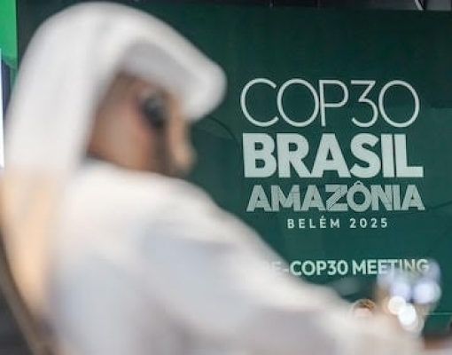 Que a COP-30 ajude o mundo a falar cada vez menos de COPs