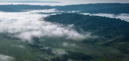 Fundo de florestas de US$ 125 bi proposto pelo Brasil sofre atrasos