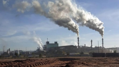 Polícia Ambiental e Cetesb investigam morte de peixes em  Merediano SP