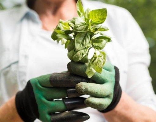 Coopercitrus: Bioinsumos crescem 37,5% mas são fatia pequena do negócio