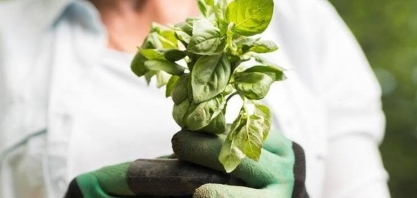 Coopercitrus: Bioinsumos crescem 37,5% mas são fatia pequena do negócio