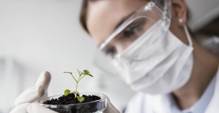 Número de empresas de bioinsumos cresce mais de 600% em 10 anos no Brasil