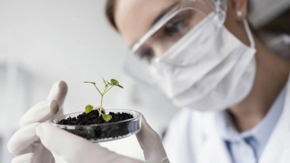 Número de empresas de bioinsumos cresce mais de 600% em 10 anos no Brasil