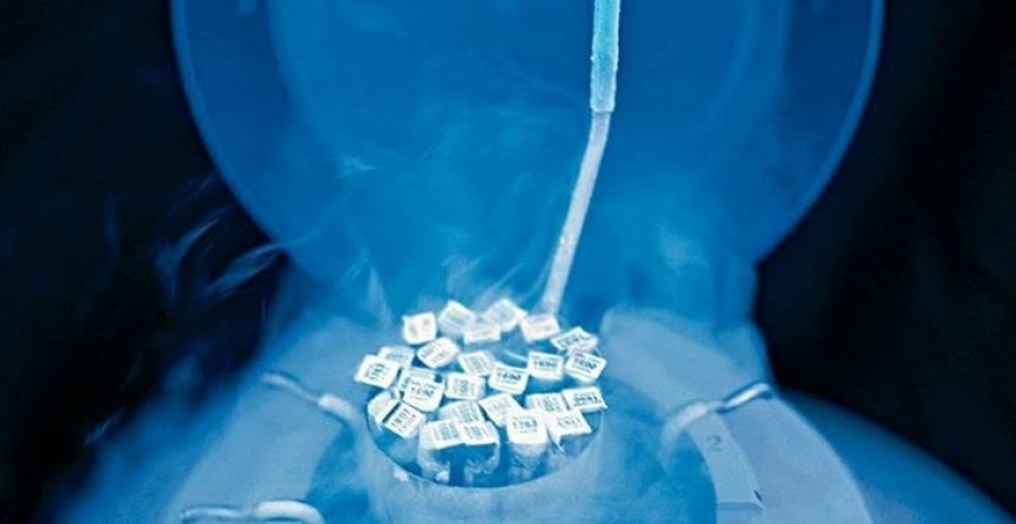 Produção de sêmen bovino avançou 29,6% no terceiro trimestre, diz Asbia