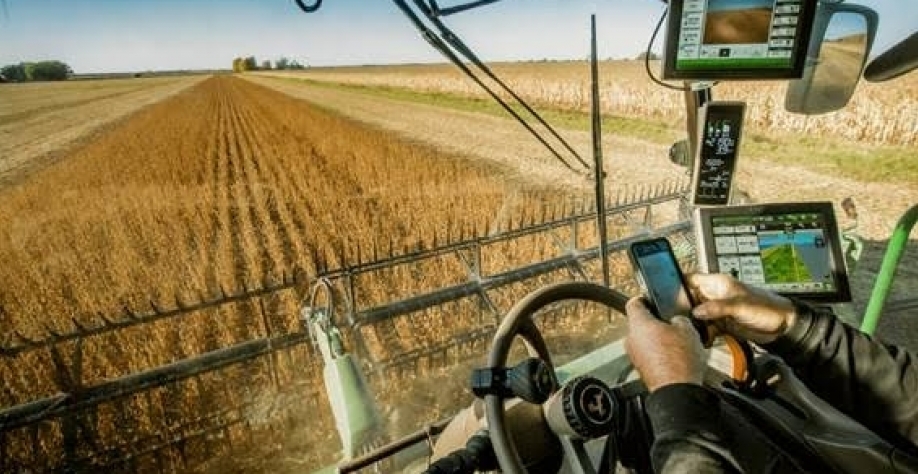 Número de trabalhadores na agricultura cresce no terceiro trimestre