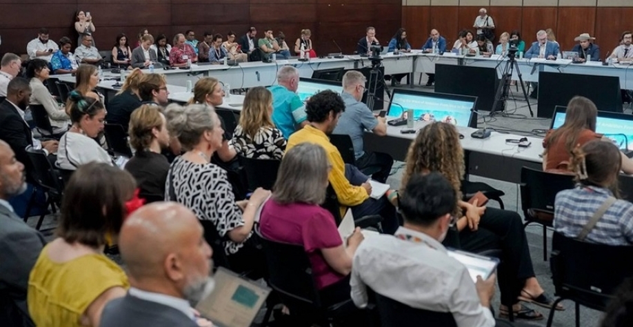 Participação do agro na COP 30 denota setor “subrepresentado”