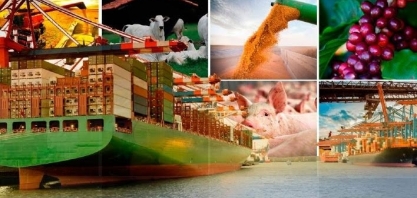 Mesmo com tarifaço, agro deve exportar recorde de US$ 170 bilhões