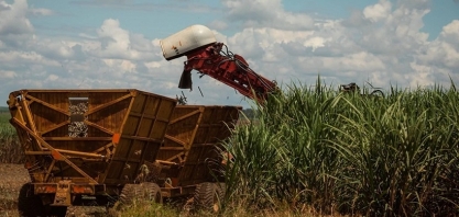 Jalles encerra moagem de 2025/26 com 5,9% menos cana que o estimado