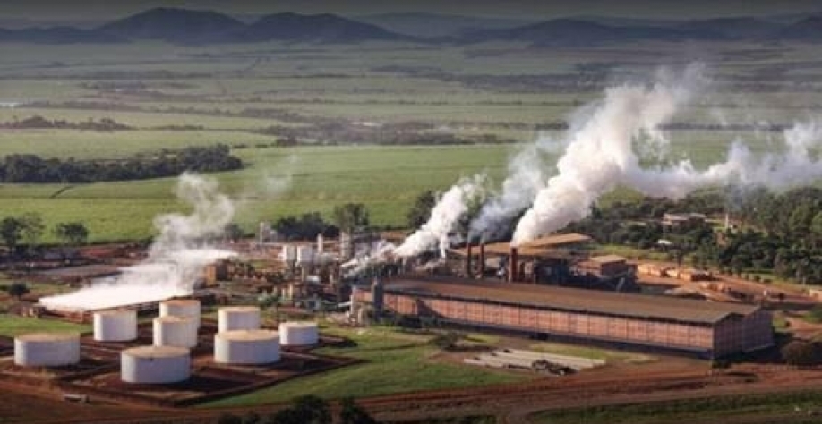 Jalles dribla queda do açúcar e sobe na Bolsa, mas produtividade preocupa