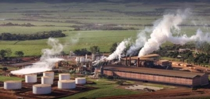 Jalles dribla queda do açúcar e sobe na Bolsa, mas produtividade preocupa