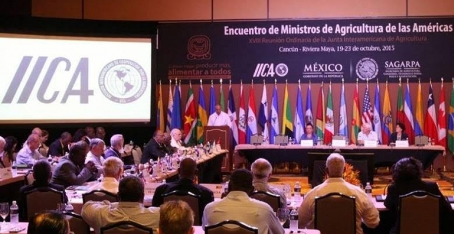 Disputa técnica e política em órgão agrícola divide países