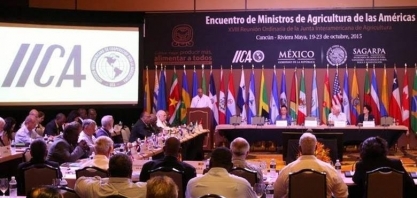 Disputa técnica e política em órgão agrícola divide países