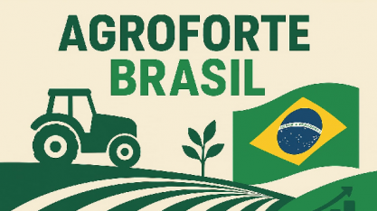 REALIDADE SEM FILTRO: Por Rodrigo Simões