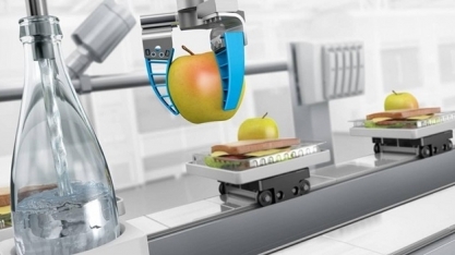 Colheita automatizada desafia agtechs; avanços dentro de cinco anos