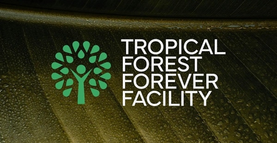 Fundo para florestas vira termômetro de sucesso do governo na COP30