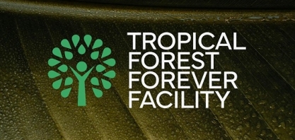 Fundo para florestas vira termômetro de sucesso do governo na COP30