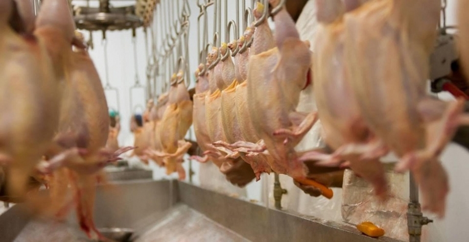 UE:Volta do pré-listing para a exportação de carne de aves e ovos do Brasil