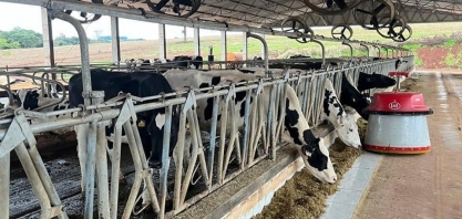 Automação eleva produção diária de leite em 7,4%, aponta estudo
