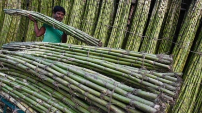 Índia planeja exportar cota de 1,5 milhão de toneladas de açúcar