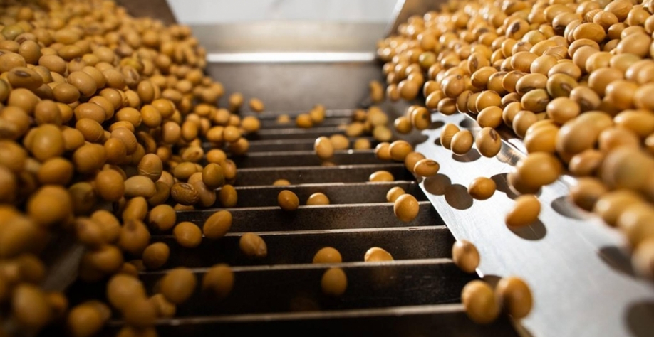 Demanda por soja dos EUA cresce e puxa forte alta do preço em Chicago