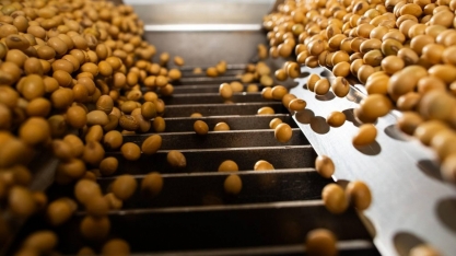 Demanda por soja dos EUA cresce e puxa forte alta do preço em Chicago