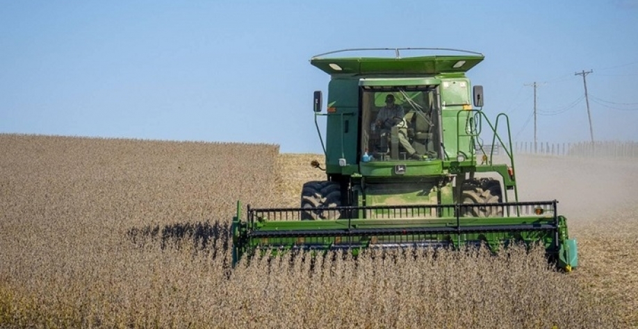 USDA corta previsão de safra de soja no mundo e nos EUA