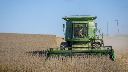 USDA corta previsão de safra de soja no mundo e nos EUA