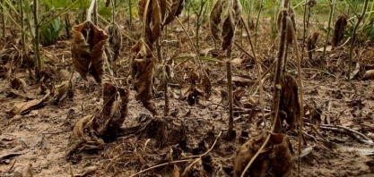 La Niña deve provocar nova estiagem na região Sul, alertam entidades