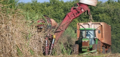 Cana: Produtores do Nordeste falam em crise após queda no preço do açúcar