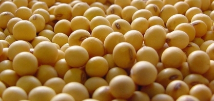 Abiove reduz estimativa para safra de soja no Brasil em 2026