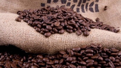 Exportações de café do Brasil recuaram 20% em outubro