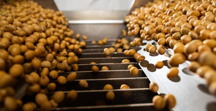 China barra 69 mil toneladas de soja brasileira e suspende 5 produtores