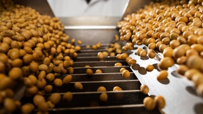 China barra 69 mil toneladas de soja brasileira e suspende 5 produtores