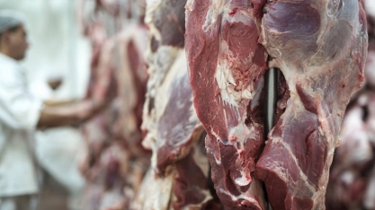 Missão do Japão fará auditoria final para liberar carne bovina brasileira